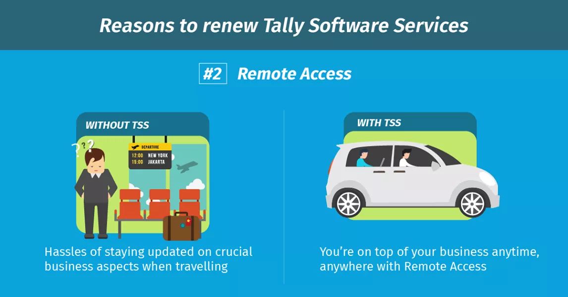 Tally Software Services