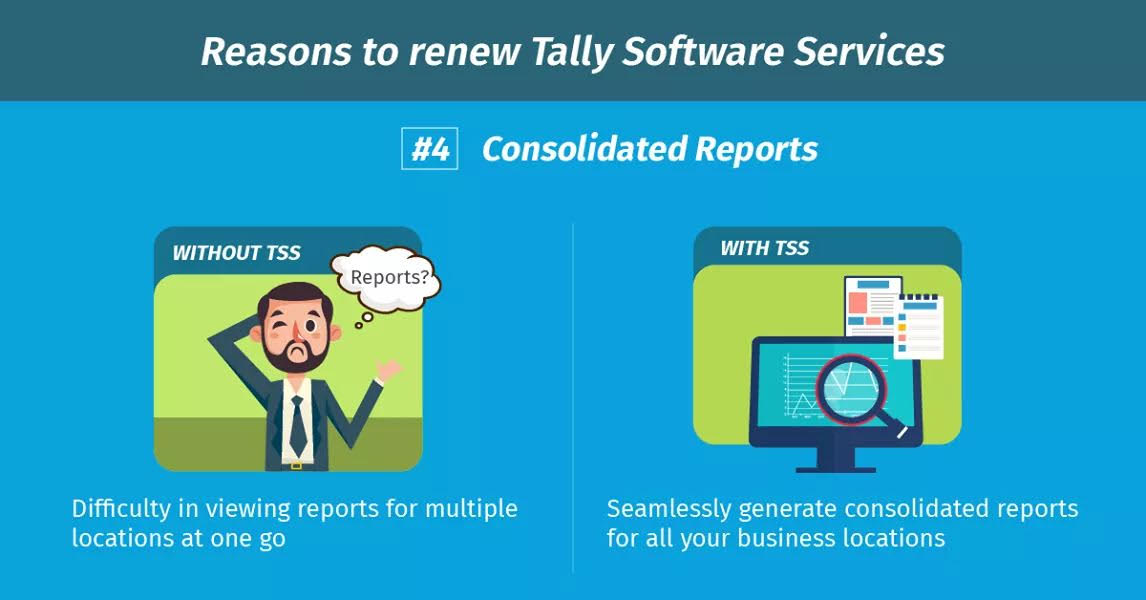 Tally Software Services